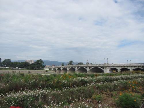 a0251786_2004516.jpg