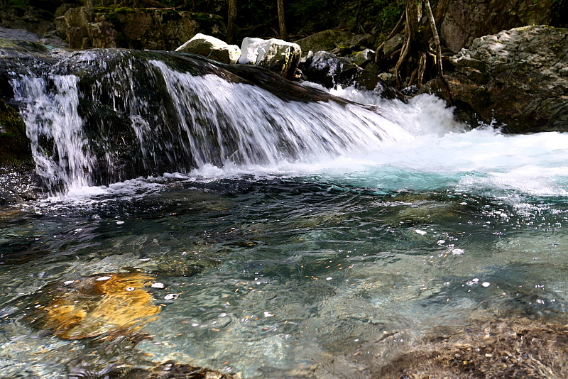 c0339900_91536.jpg