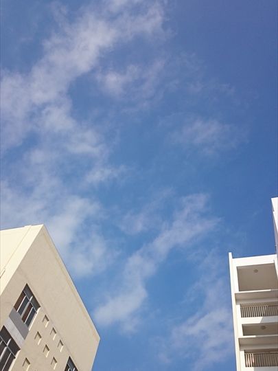 c0153302_01131653.jpg