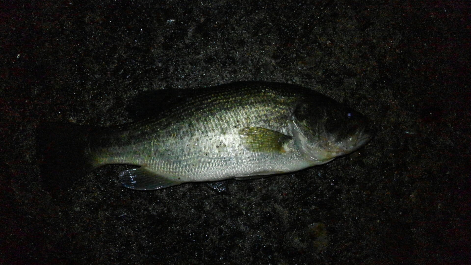 d0325609_19392820.jpg