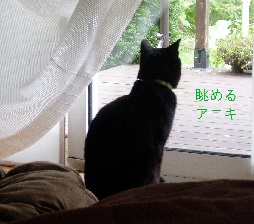 b0200310_9482286.jpg
