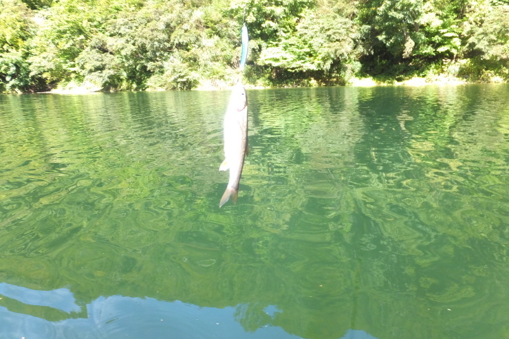 c0232813_06490342.jpg
