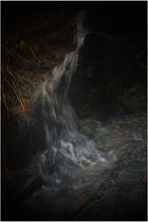 b0226423_2342665.jpg