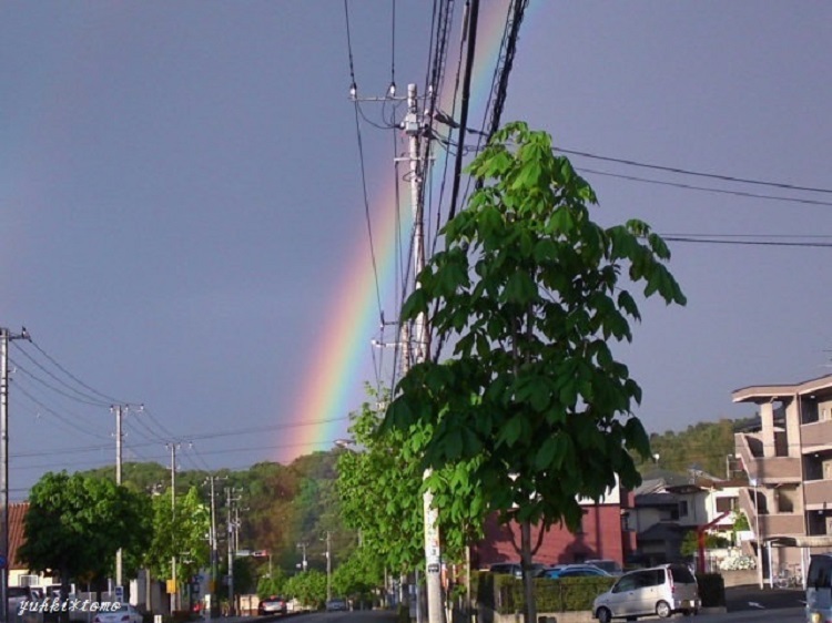 b0330432_00215846.jpg