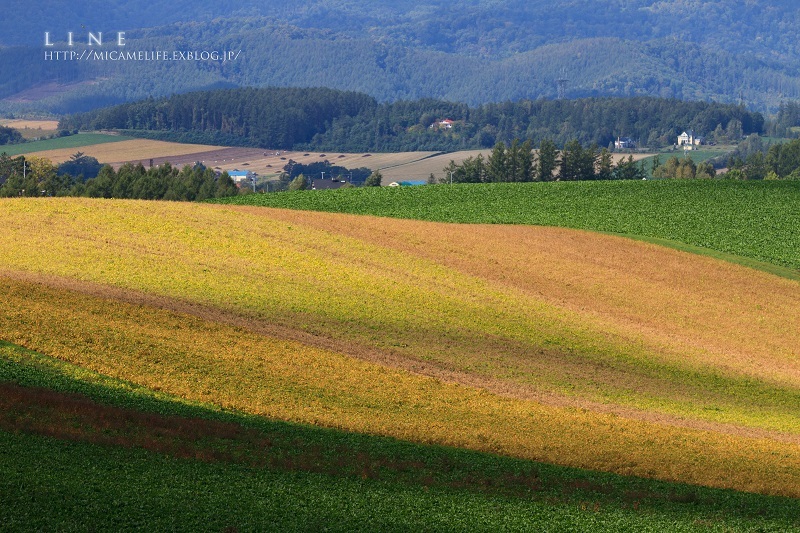 e0347334_20493418.jpg