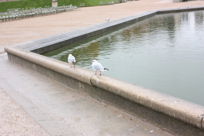 b0243443_2252480.jpg