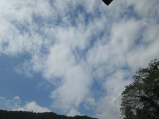 a0054948_2313988.jpg
