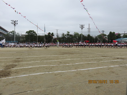 c0282566_1943265.jpg