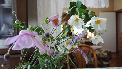 e0041168_9435349.jpg