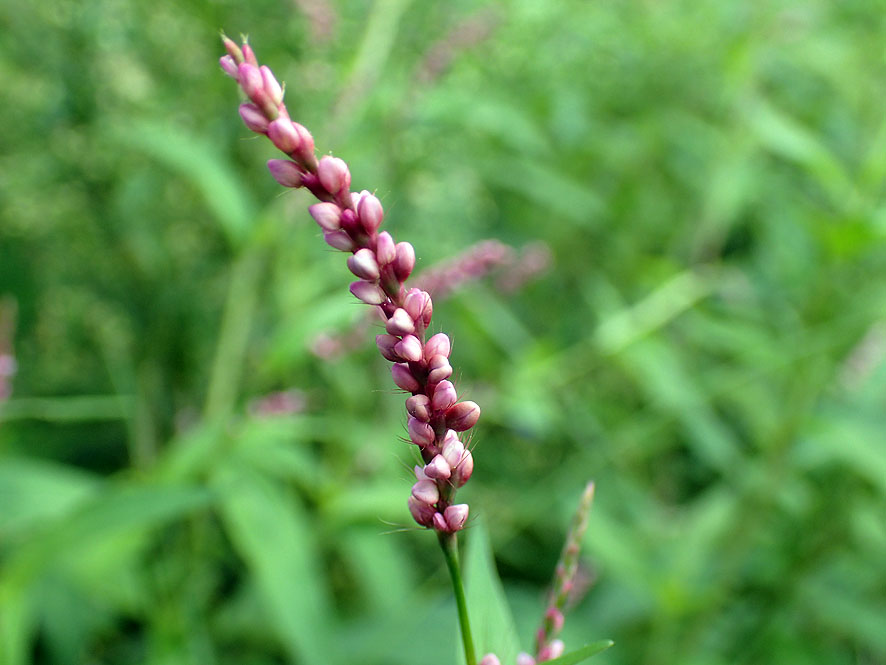 f0131669_22104381.jpg