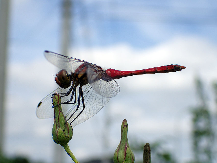 f0131669_2210580.jpg