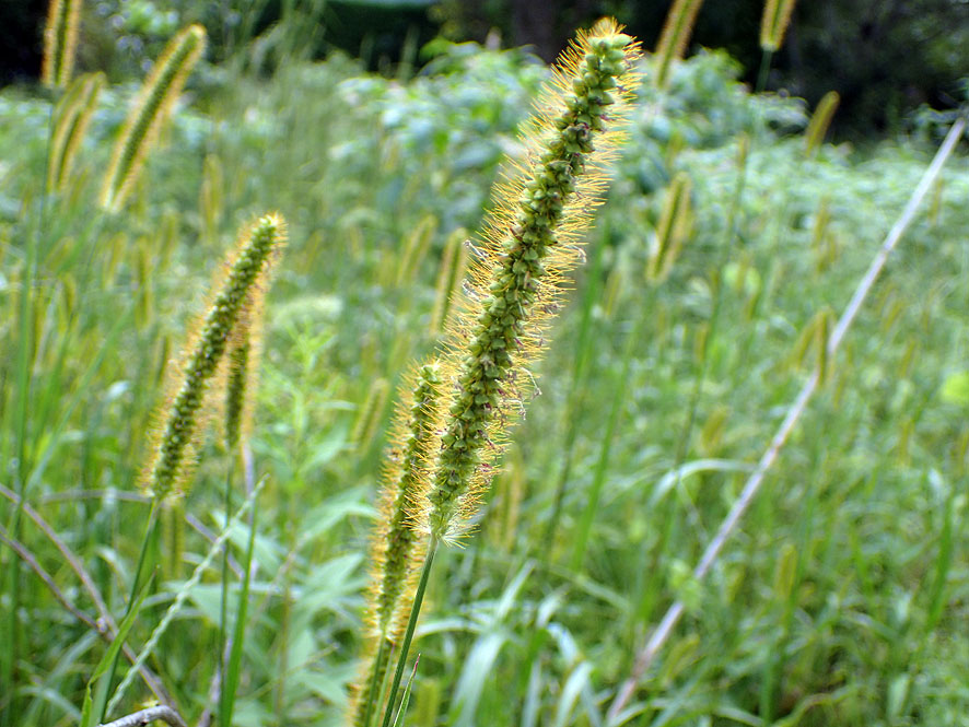 f0131669_22435375.jpg
