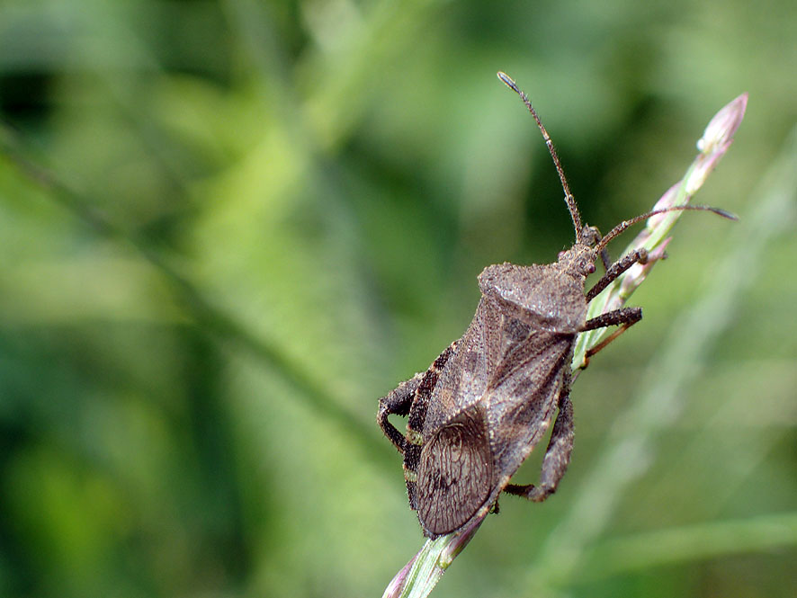 f0131669_2255153.jpg