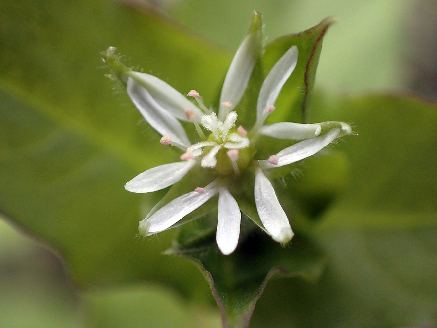 f0131669_2263552.jpg