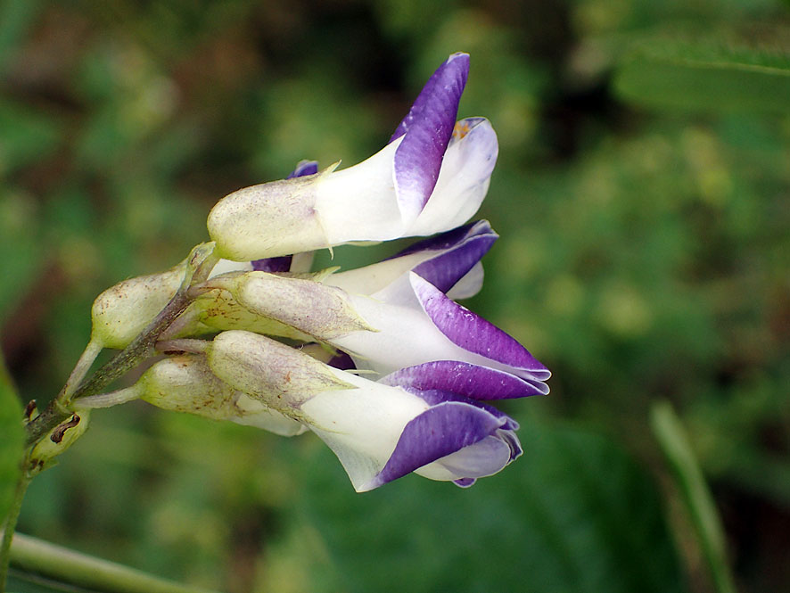 f0131669_227542.jpg