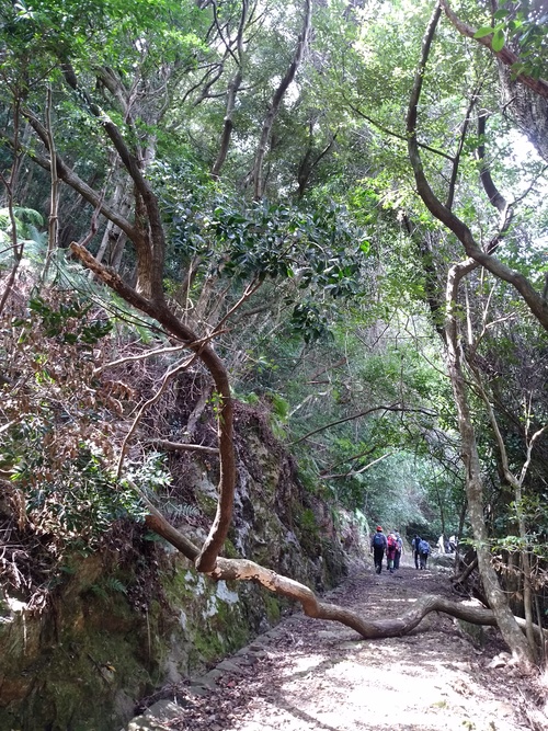 f0207669_10322789.jpg