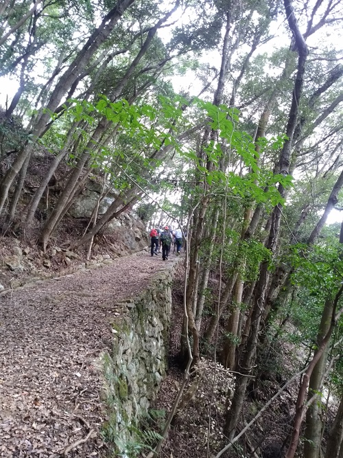 f0207669_10412149.jpg
