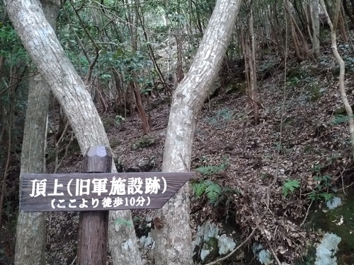 f0207669_111529100.jpg