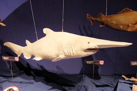 a0121671_19230740.jpg