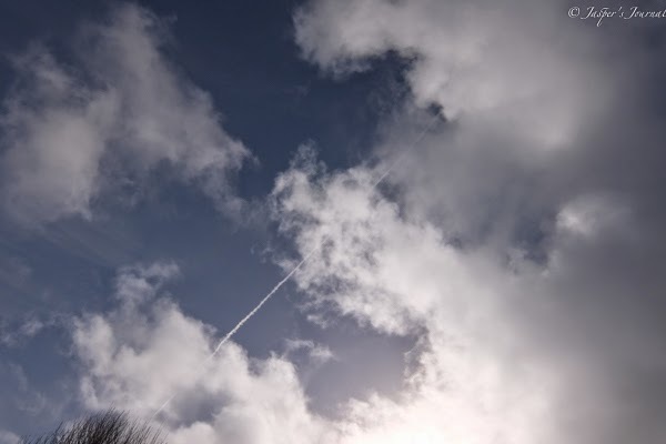 f0367473_06093654.jpg