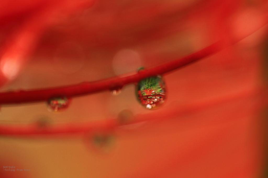 c0356480_20554942.jpg