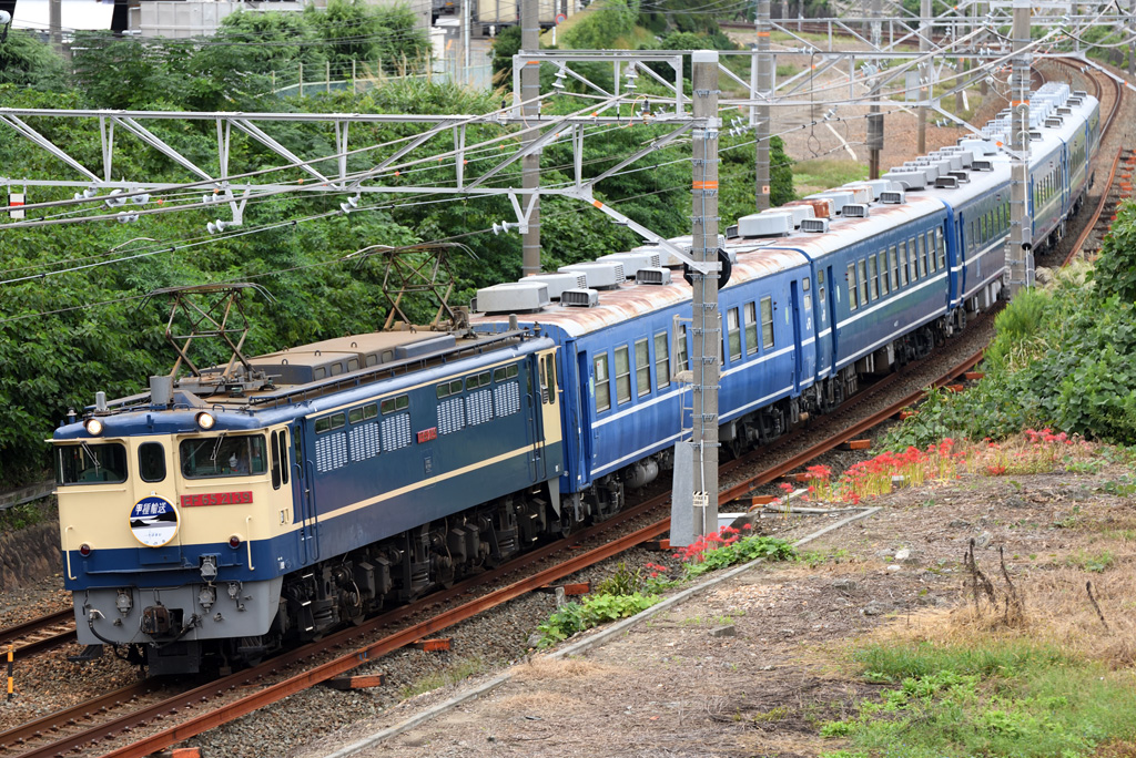 f0014380_17551344.jpg