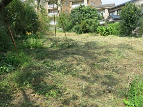 e0130185_20515367.jpg
