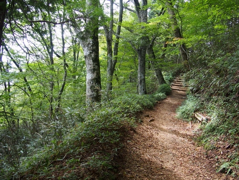 b0039898_14443490.jpg