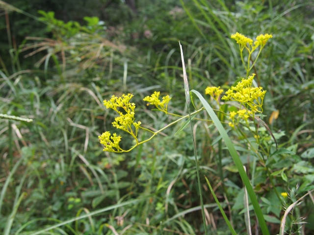 b0039898_1482837.jpg