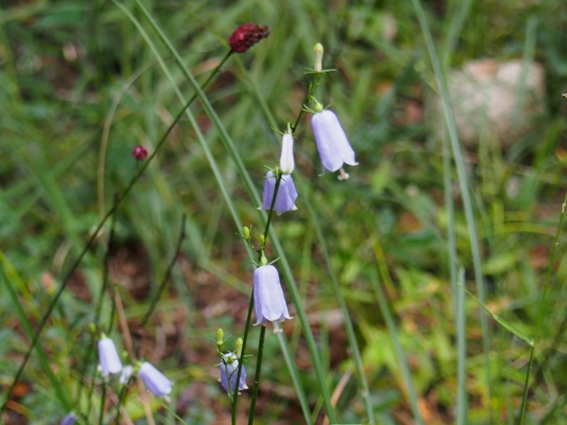b0039898_1483854.jpg