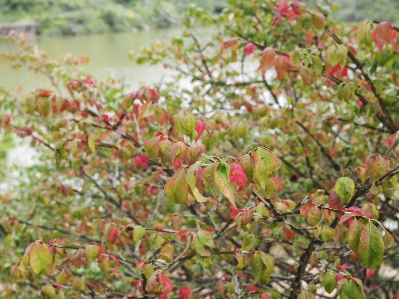 b0039898_149424.jpg