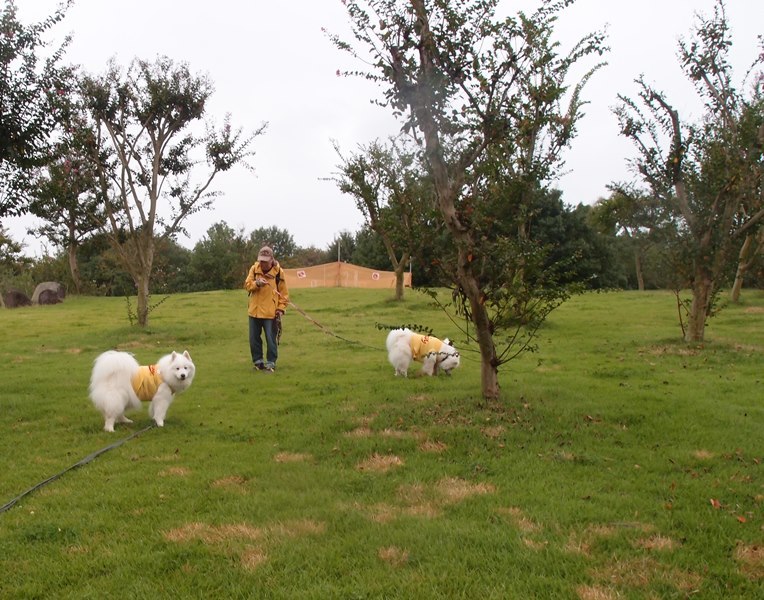 e0018604_09114568.jpg
