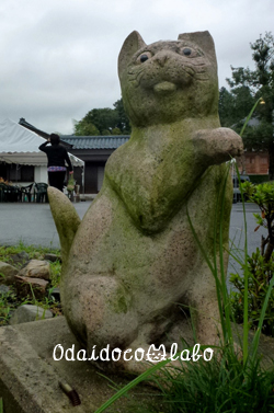 b0238306_2054546.jpg