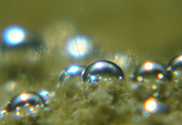 a0060407_12425906.jpg