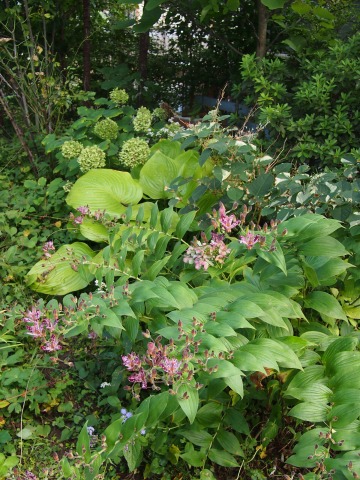 c0117007_20133078.jpg