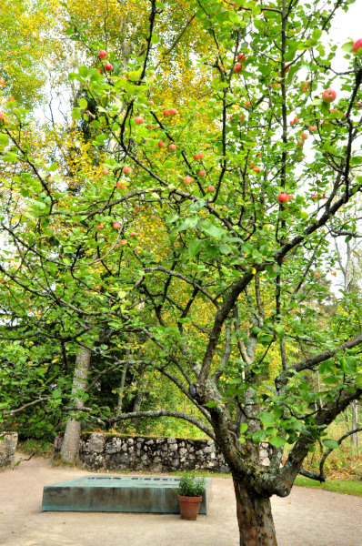 f0188408_1213899.jpg