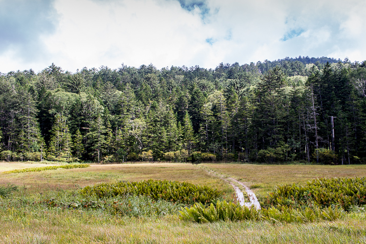 b0244811_23163410.jpg