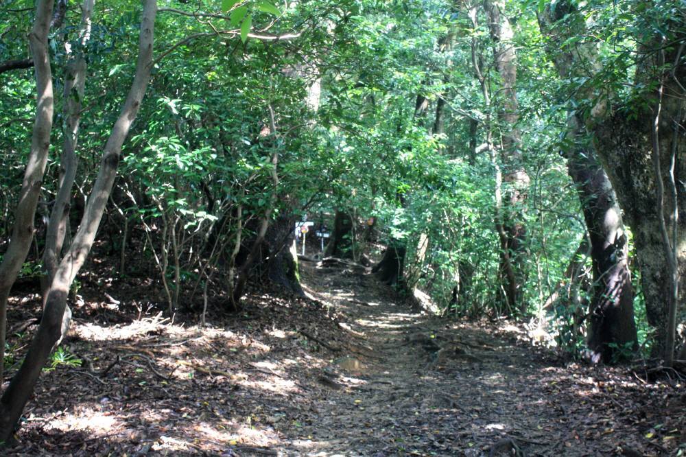 f0212511_22453296.jpg