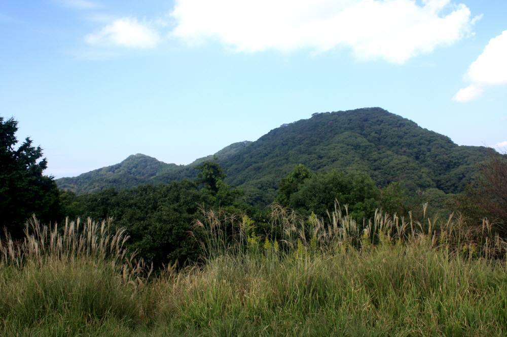f0212511_22470685.jpg