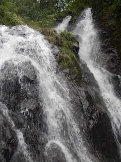 c0359615_08485257.jpg