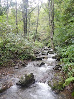c0359615_08490131.jpg