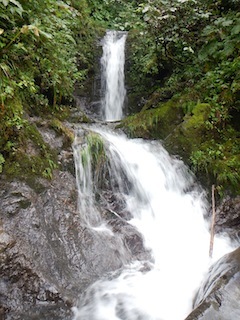 c0359615_08491109.jpg