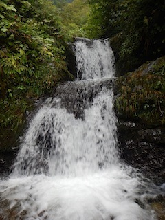 c0359615_08492404.jpg