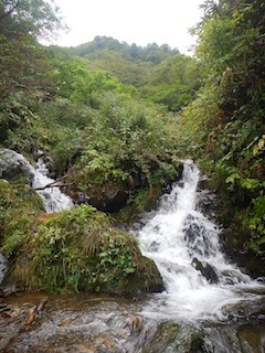c0359615_08494056.jpg