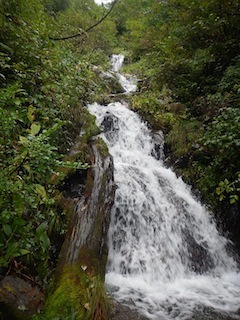 c0359615_08500715.jpg