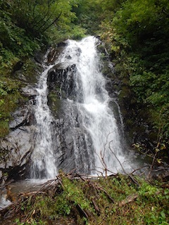 c0359615_08503119.jpg