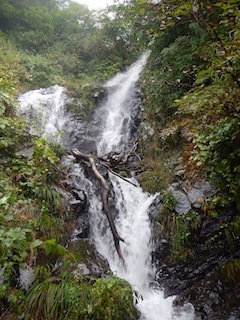 c0359615_08505764.jpg