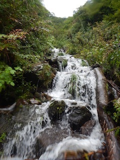 c0359615_08510846.jpg