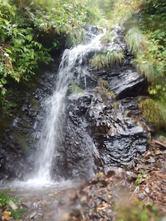 c0359615_08511850.jpg