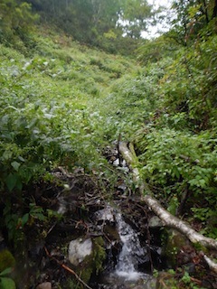 c0359615_08513332.jpg